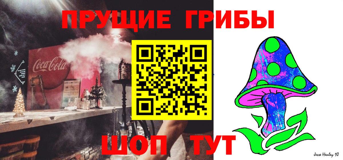 купить  сайты  Галлюциногенные грибы прущие грибы  Вход с VPN  Новый Уренгой 